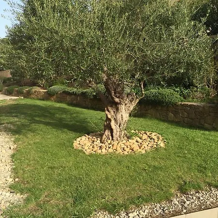 Villa Belle A Raphael Dans Clos Prive