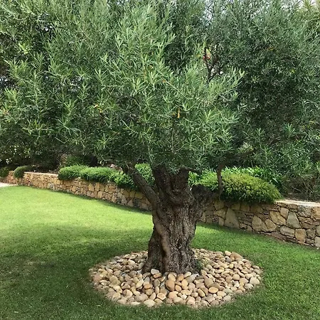 Belle Dans Clos Prive - Raphael Boulouris Villa *